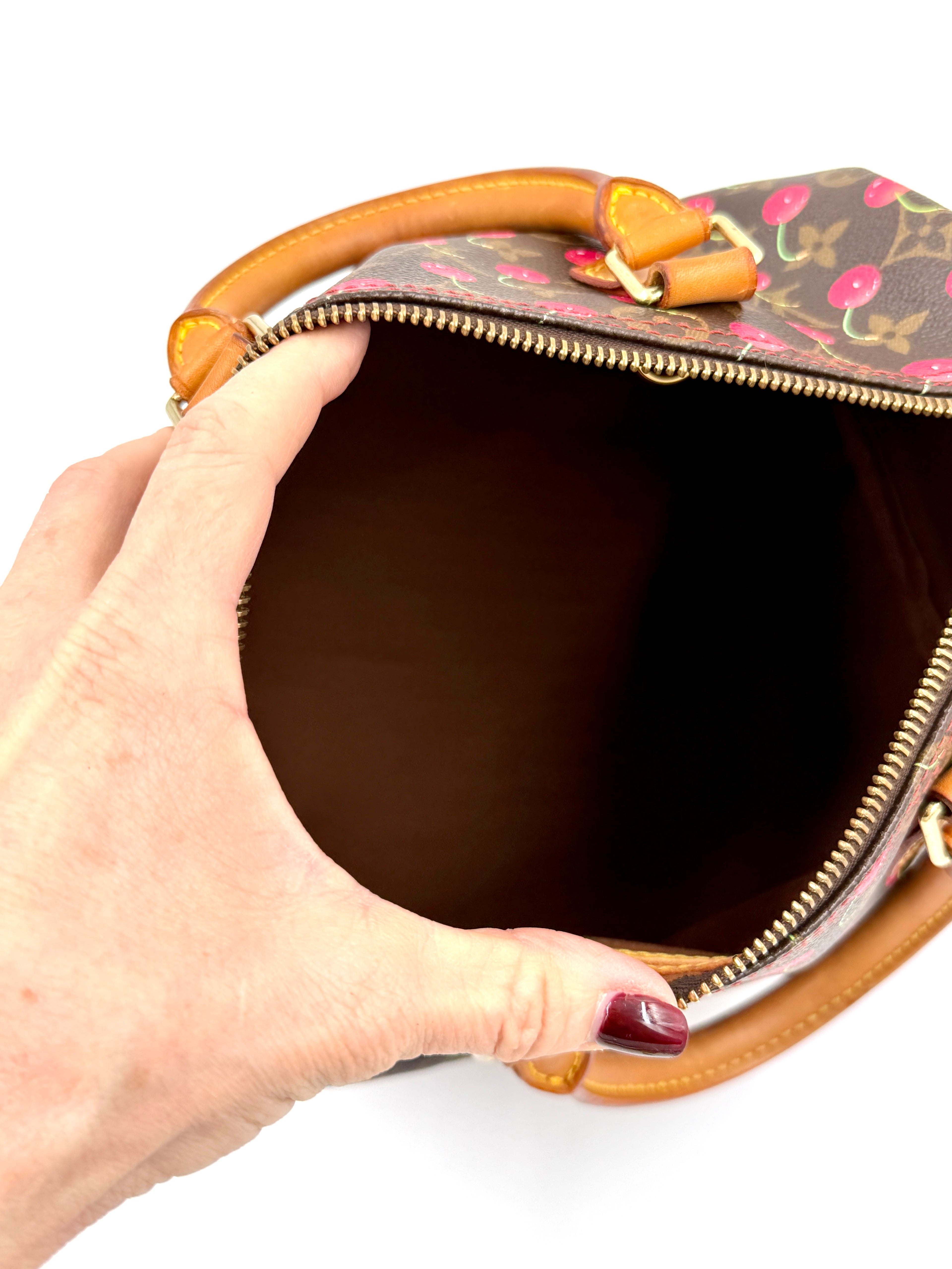 Pre-owned Louis Vuitton Speedy 25 Murakami Cherries - Authenticated