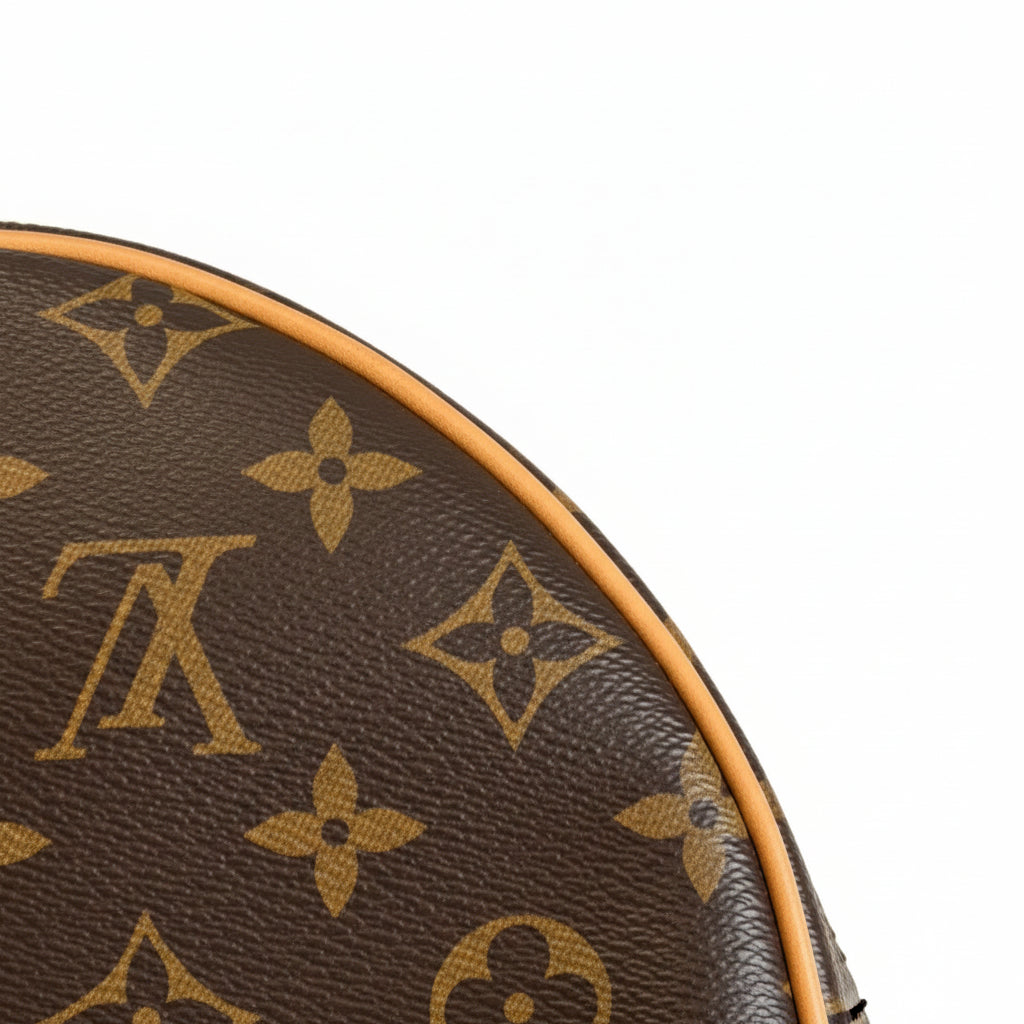 Pre-owned Louis Vuitton Loop Hobo Monogram Canvas - Authenticated - RESERVED