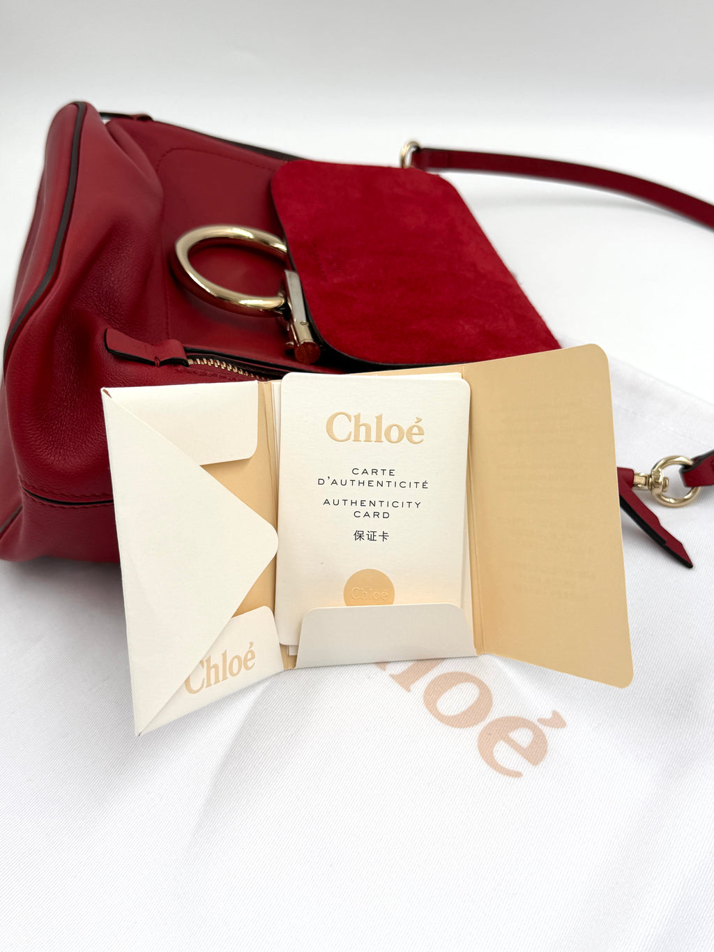 Pre-Owned Chloé Faye Small Backpack Calfskin Leather and Suede - Authenticated