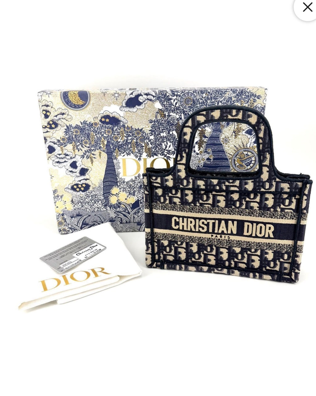 Pre-owned Christian Dior Mini Book Tote Blue Oblique Canvas - Authenticated