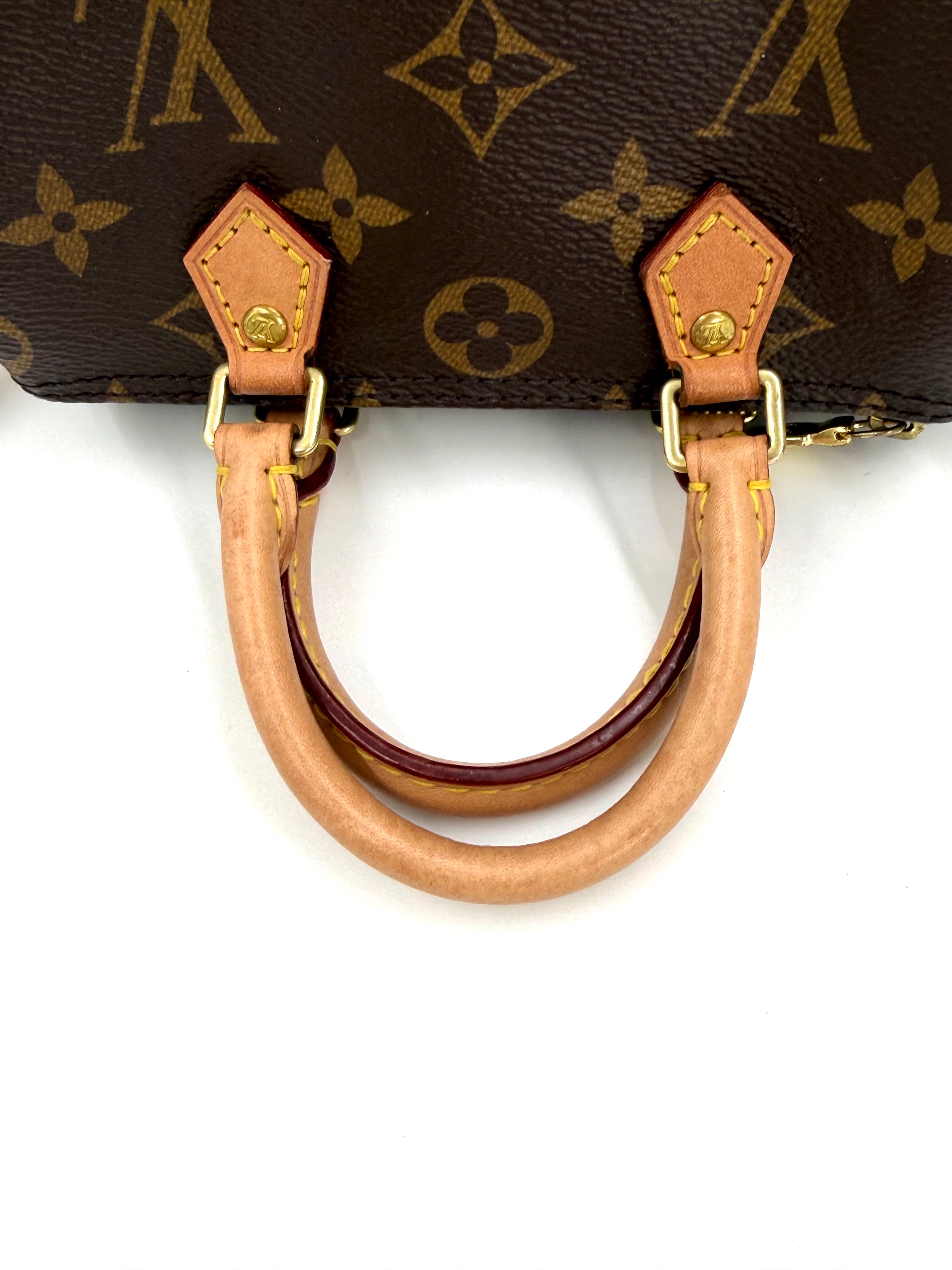 Pre-owned Louis Vuitton Speedy Nano - Authenticated